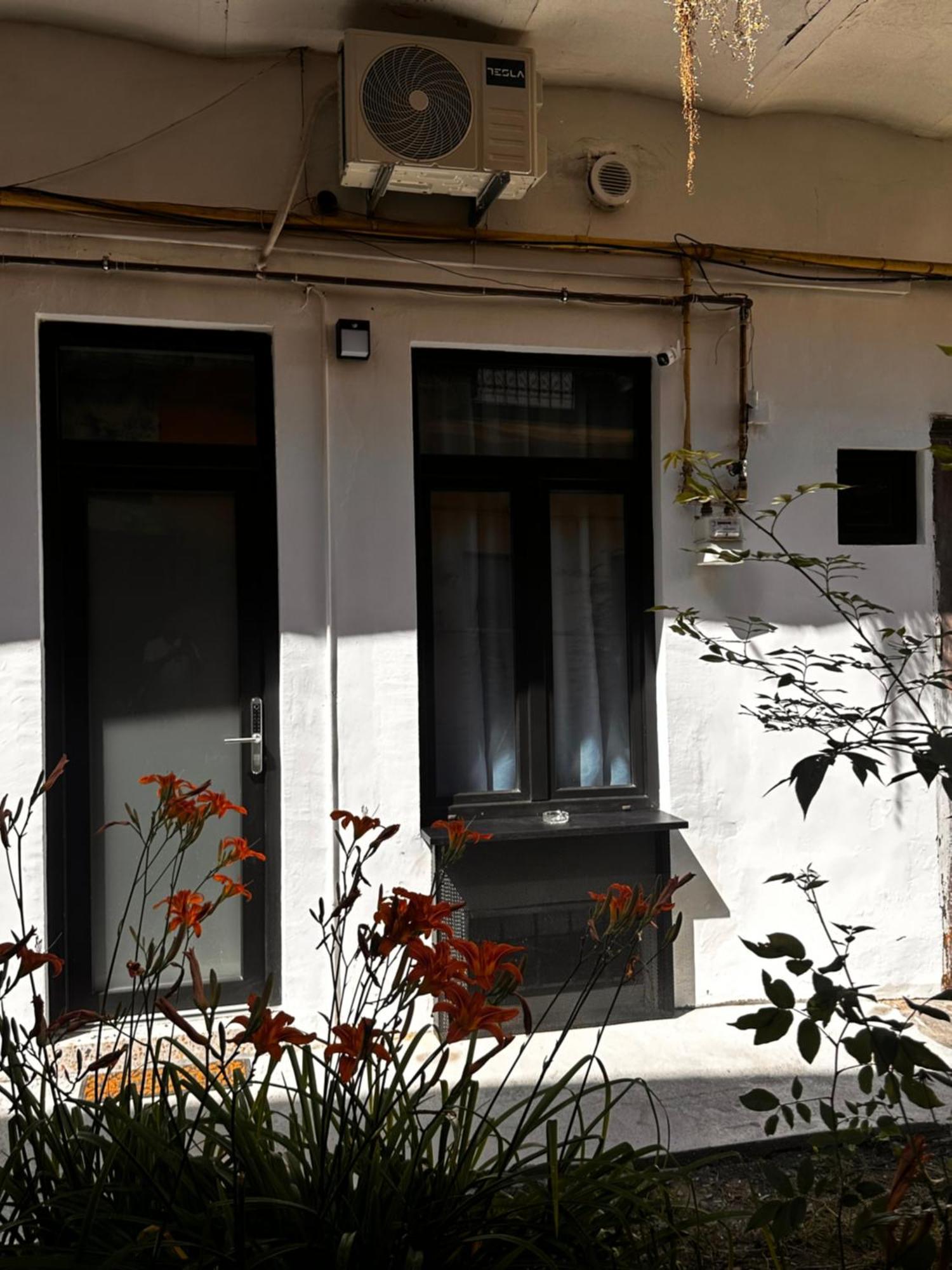 Jais Home-Moon Apartment Old Town Клуж-Напока Екстериор снимка